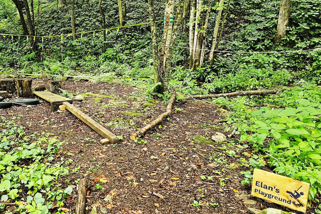 The Ultimate Family Cabin Vacation in the Smoky Mountains