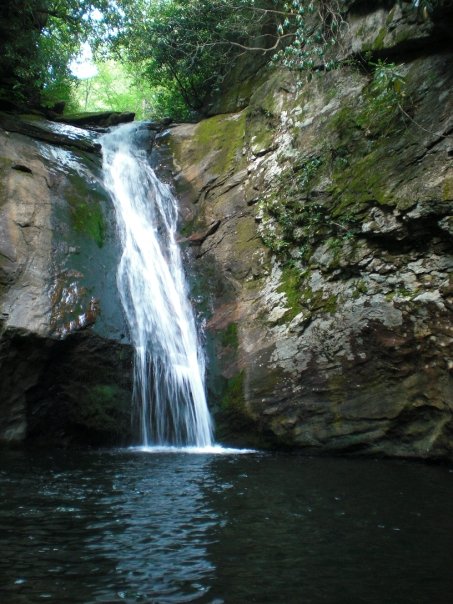 Courthouse Falls plunging 45 feet into a circular emerald pool surrounded by old-growth forest in Pisgah National Forest NC