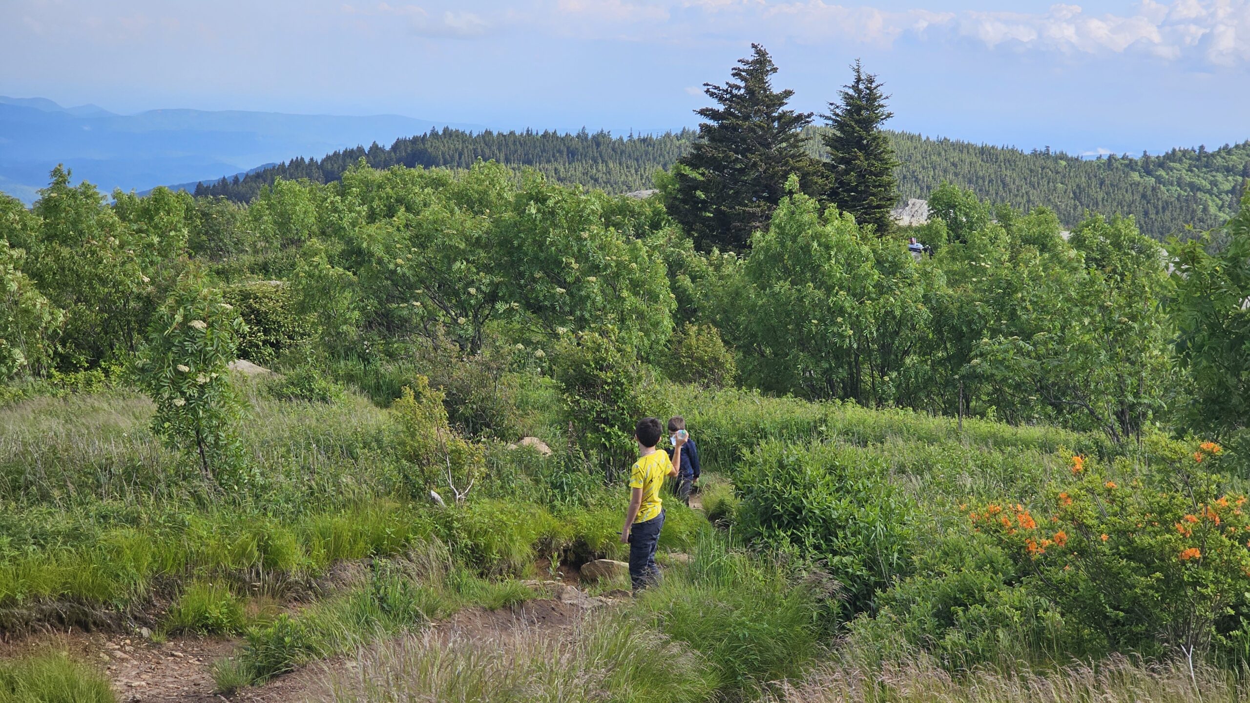 Hikers on the Art Loeb Trail surrounded by wildflowers and mountain views near Black Balsam