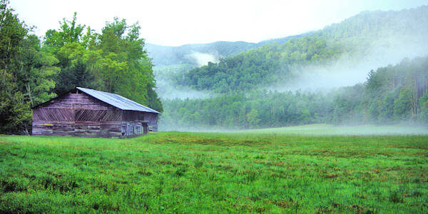 Historic barn with elk grazing in background