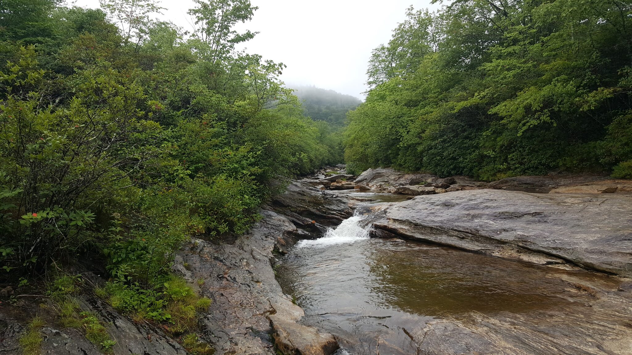 Rocky creek and small cascade flowing through Graveyard Fields valley on the Blue Ridge Parkway