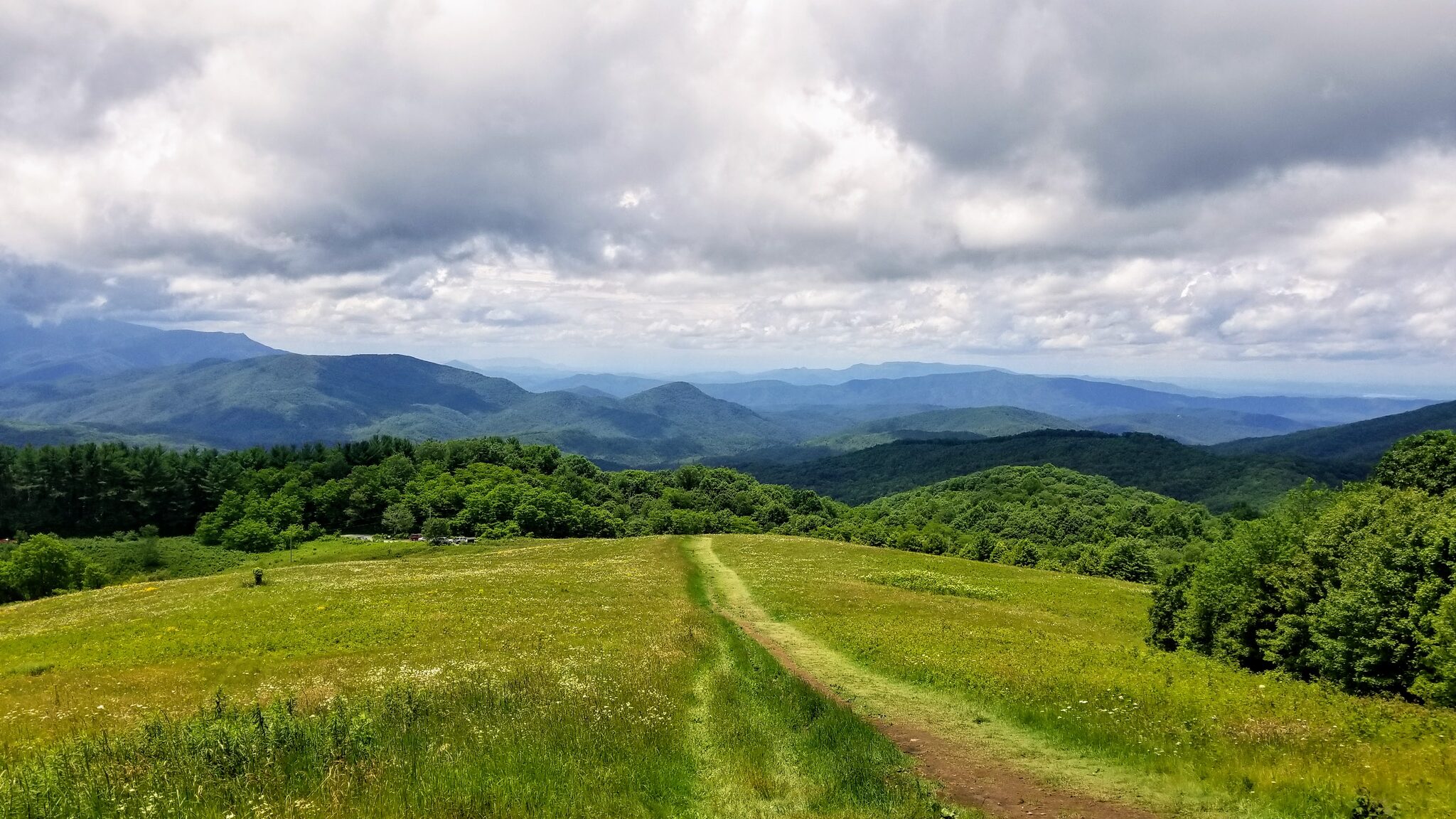 Grassy trail path on Max Patch with panoramic Blue Ridge Mountain views