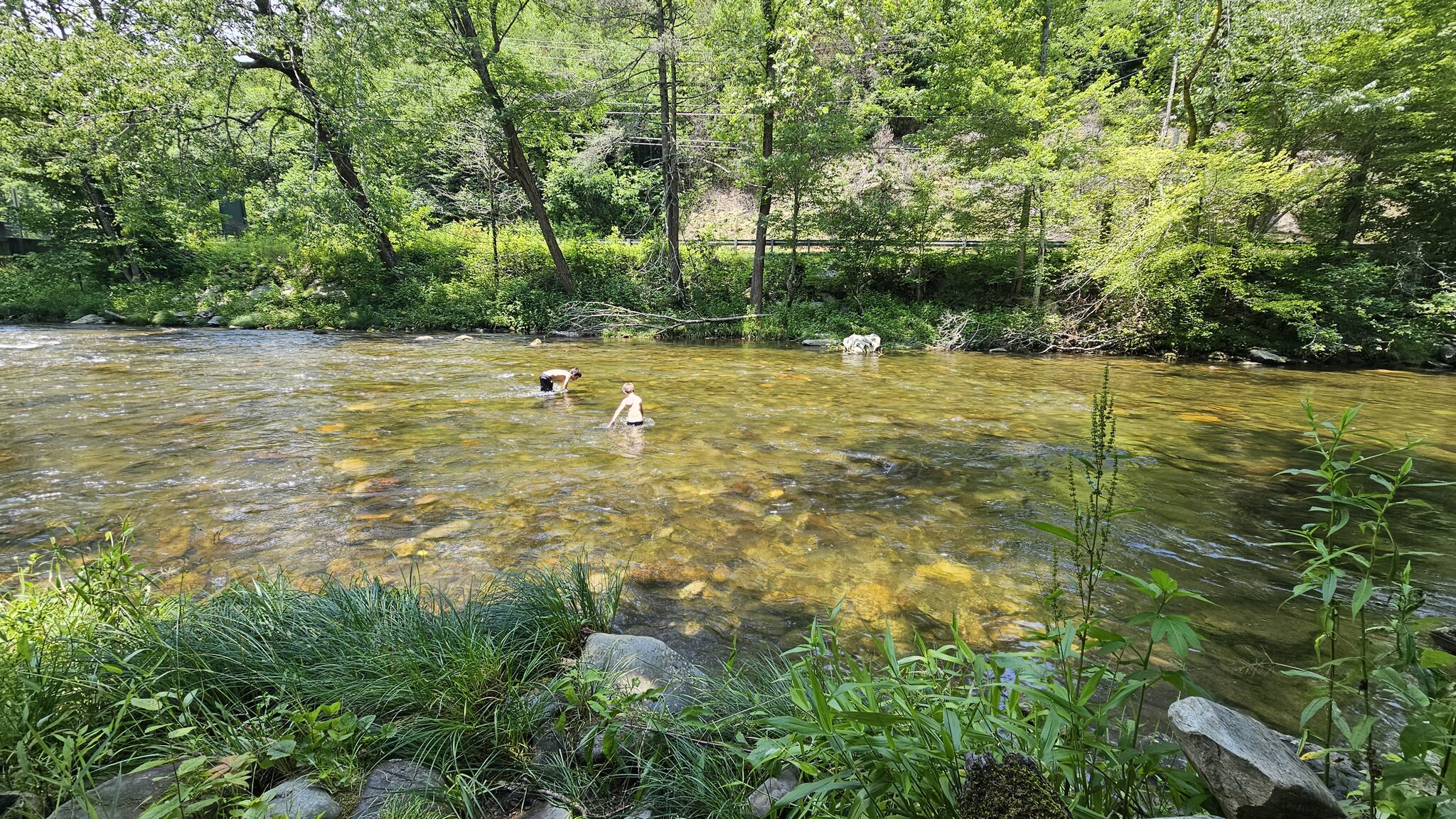 Kids swimming in a scenic creek near Mingo Falls surrounded by green trees and boulders