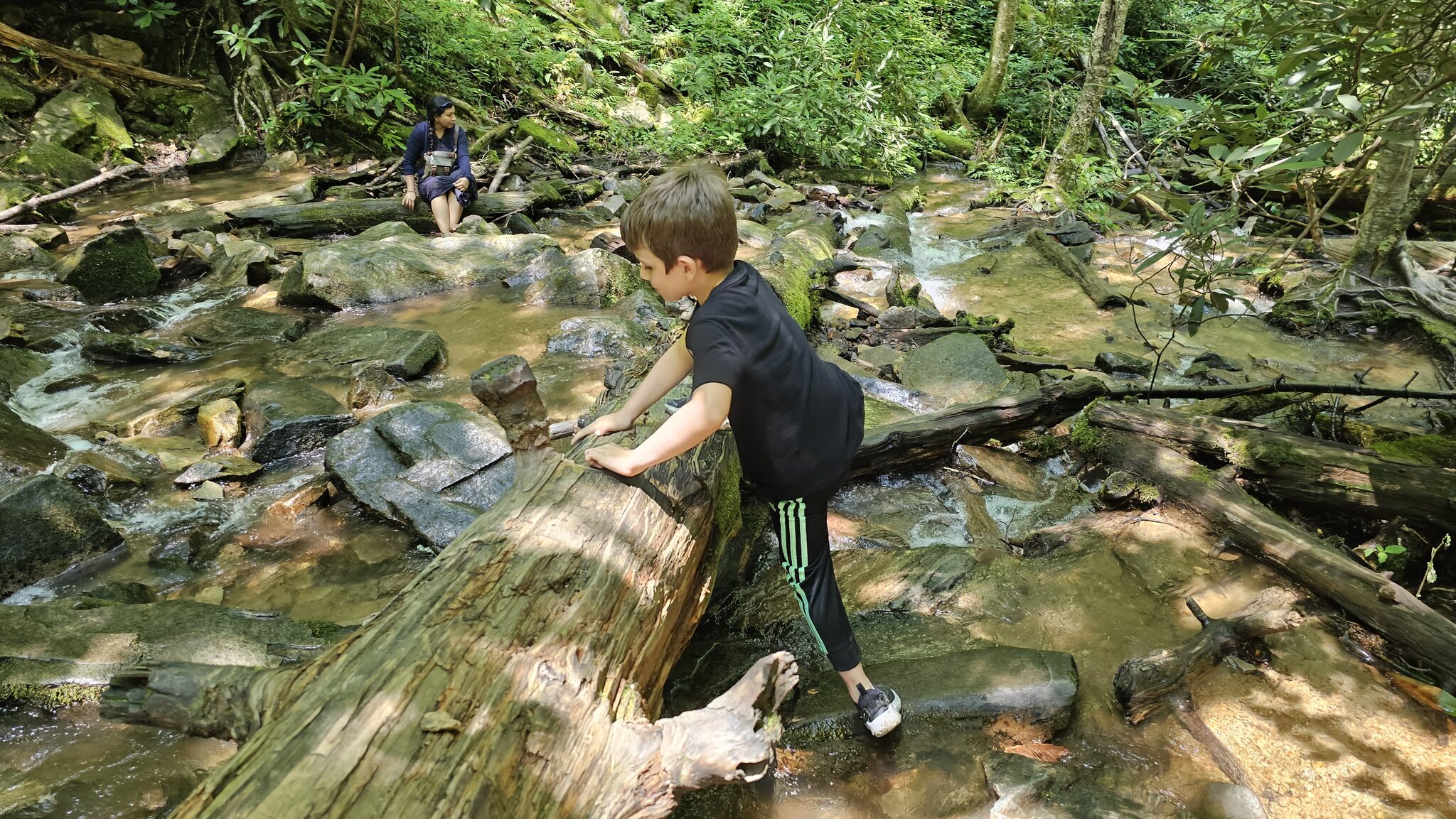 Kid scrambling over creek rocks on the trail to Mingo Falls in the Great Smoky Mountains