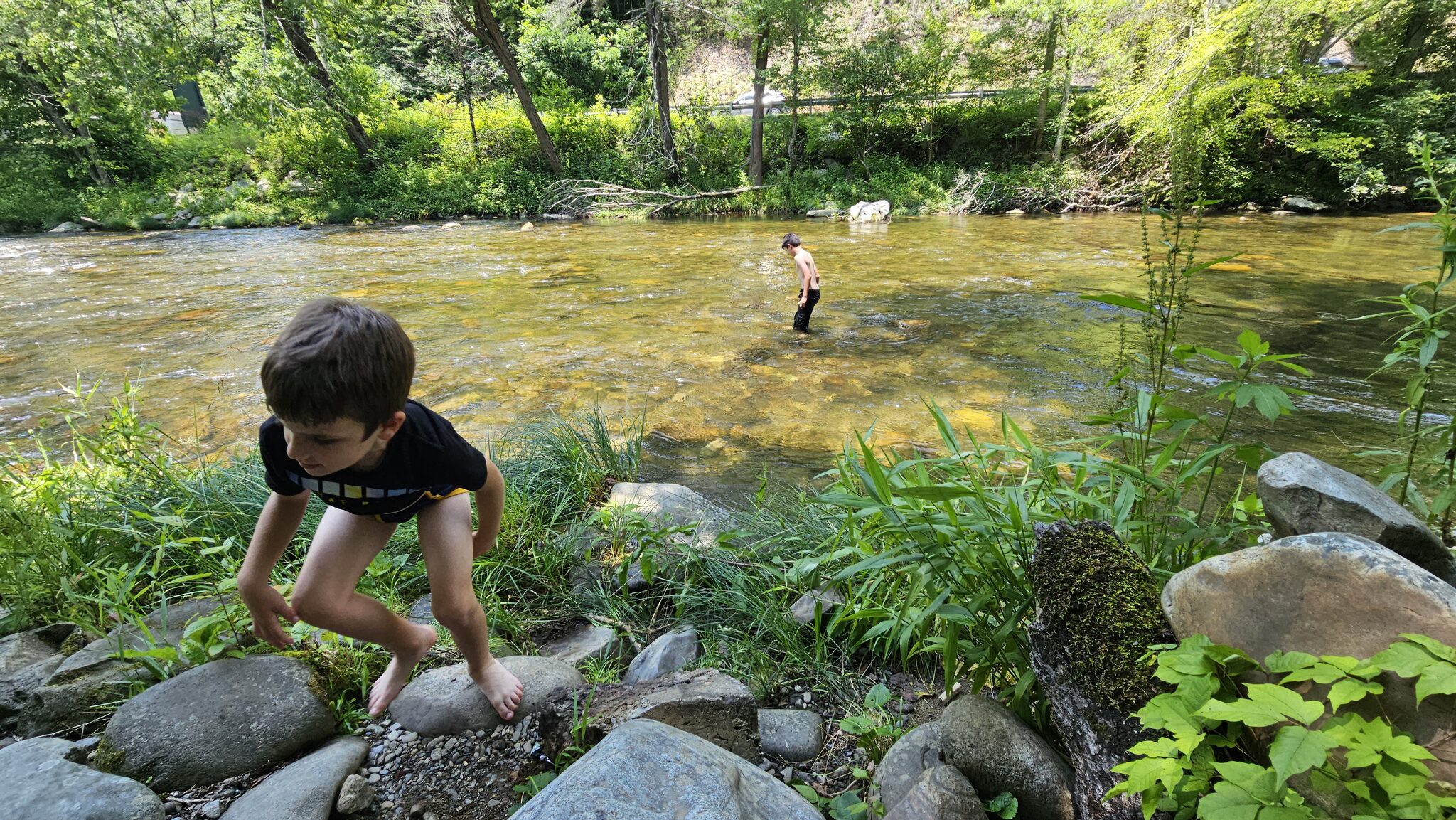 Kids playing by the creek near Mingo Falls with lush green forest surrounding them