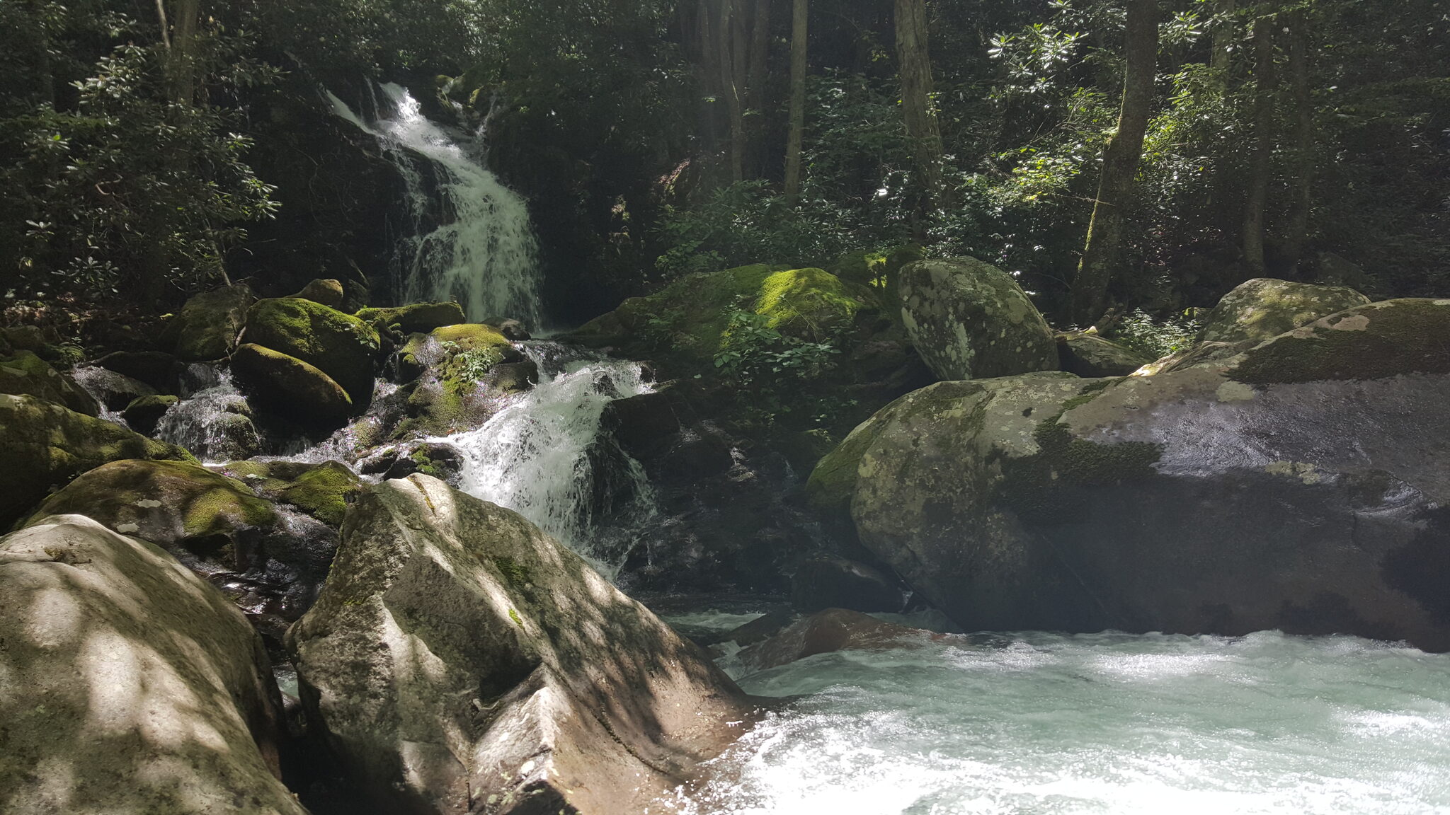 Close-up of Mouse Creek Falls flowing over mossy rocks into a turquoise blue pool